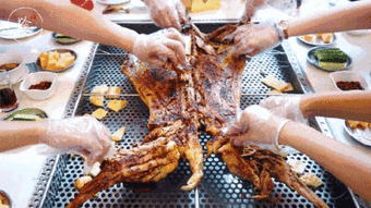 出發 讀行秘境 沙漠 草原逐星之旅