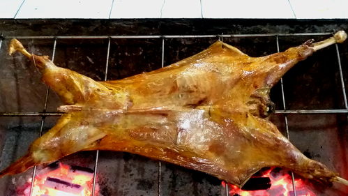 山城最具人氣的烤全羊之一溫泉秘制烤全羊