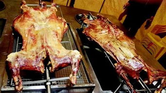 記者試驗揭烤全羊里的貓膩 2015 01 25 15 23 00