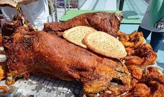 春節 在世界上距離海洋最遠的城市,來一場冰與火的純玩五天體驗