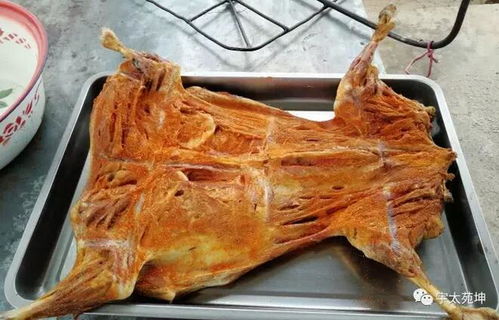 宇太苑坤養(yǎng)殖合作社精品烤全羊