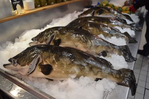 生鮮海鮮水產鱈魚食材 攝影圖